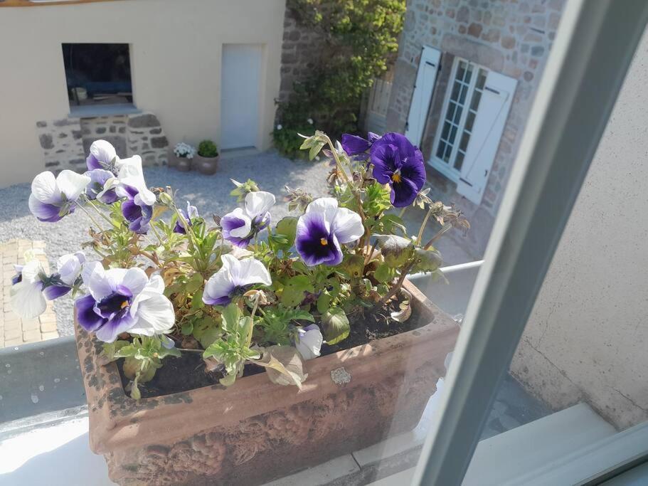 Gite Tante Jeanne Réville Exterior photo